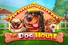 The Dog house
