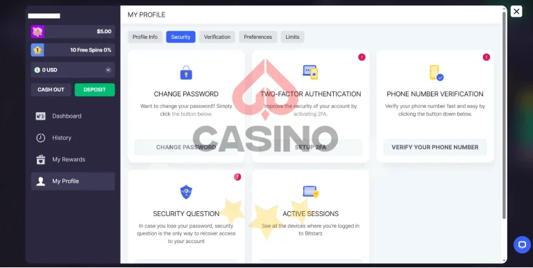 Bitstarz casino security skin-4