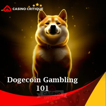 Dogecoin Gambling 101