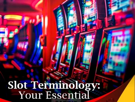 Slot Terminology: Your Essential Guide